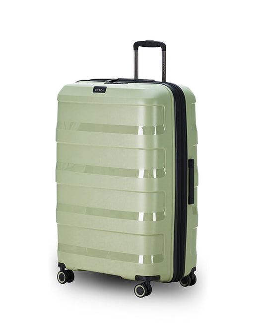 Comet Medium Sage Green Trolley Case